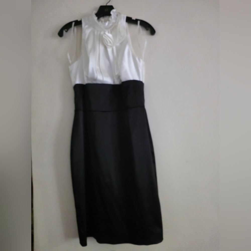 NW Collection  Color Block Dresd Black & white Sz 4 Nwot